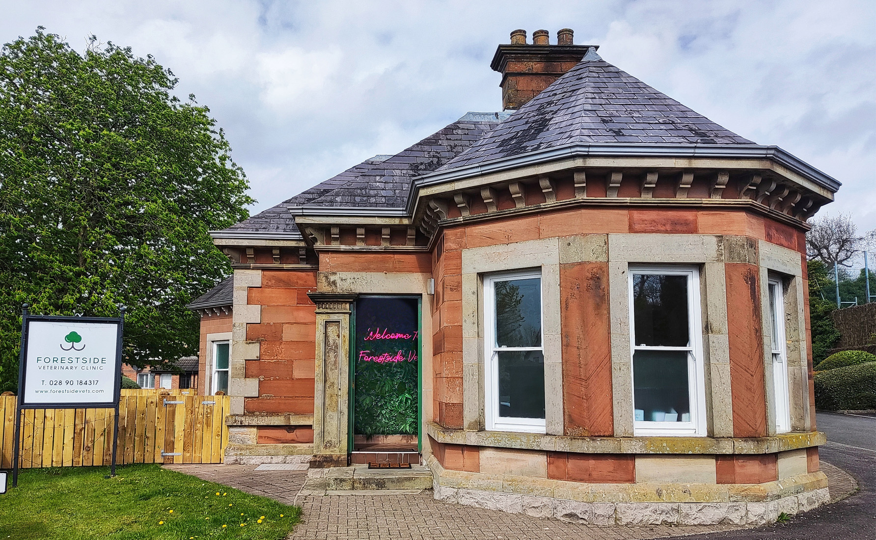 News Article Main Photo 6